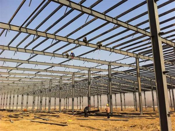 2540453.jpg 2540453.jpg